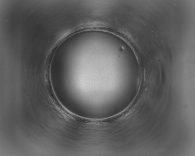 X0000073901405200608251445