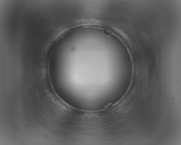 X0000073901407200608251445