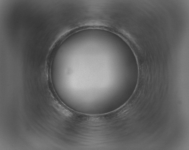 X0000073901408200608251445