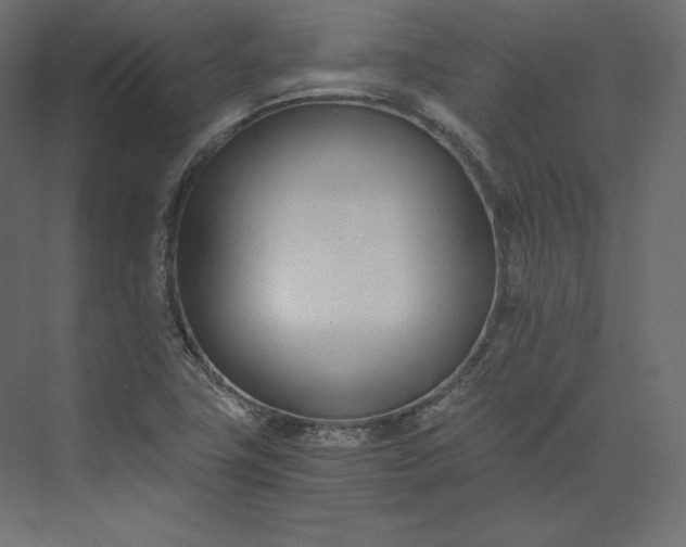 X0000073901411200608251445