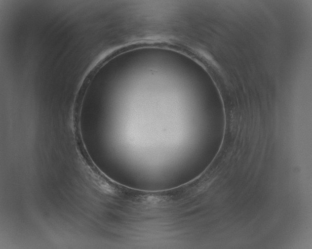 X0000073901412200608251445