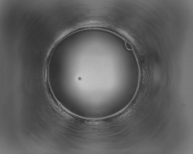 X0000073901413200608251445