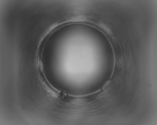 X0000073901414200608251445