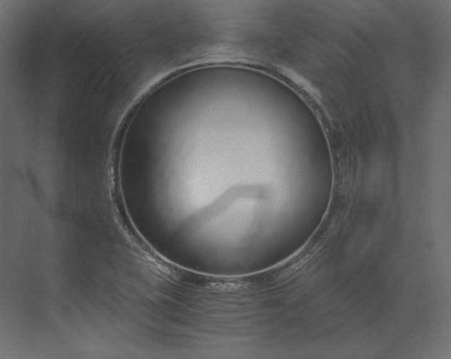 X0000073901415200608251445