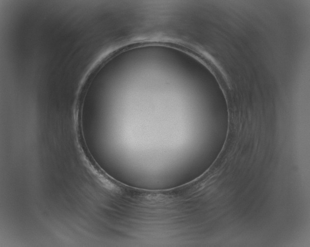 X0000073901416200608251445