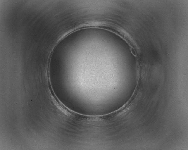 X0000073901417200608251445