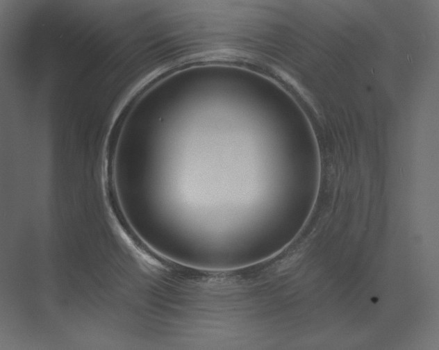 X0000073901418200608251445