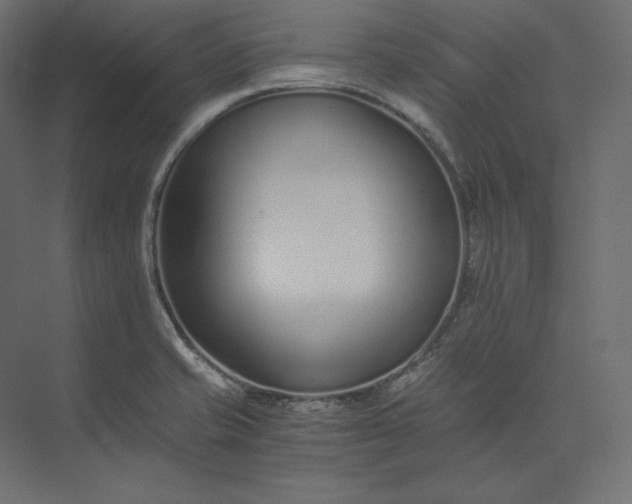 X0000073901421200608251445