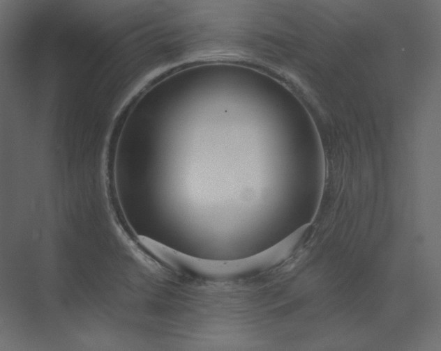 X0000073901422200608251445