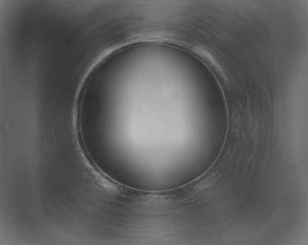 X0000073901424200608251445