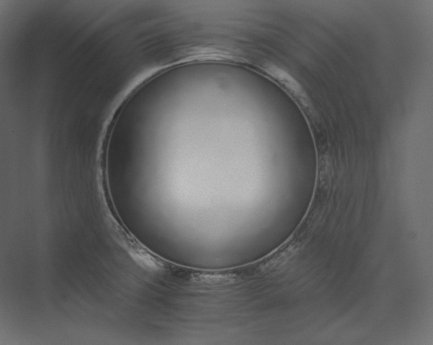 X0000073901427200608251446