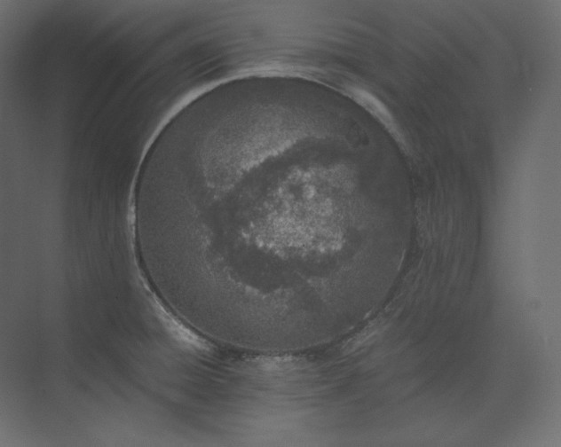 X0000073901428200608251446