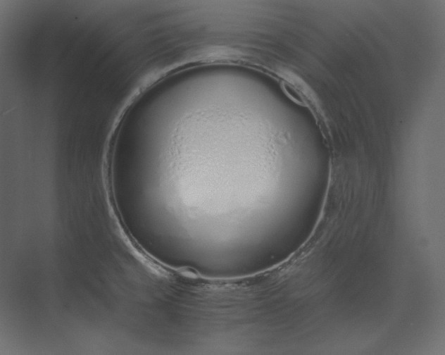 X0000073901429200608251446