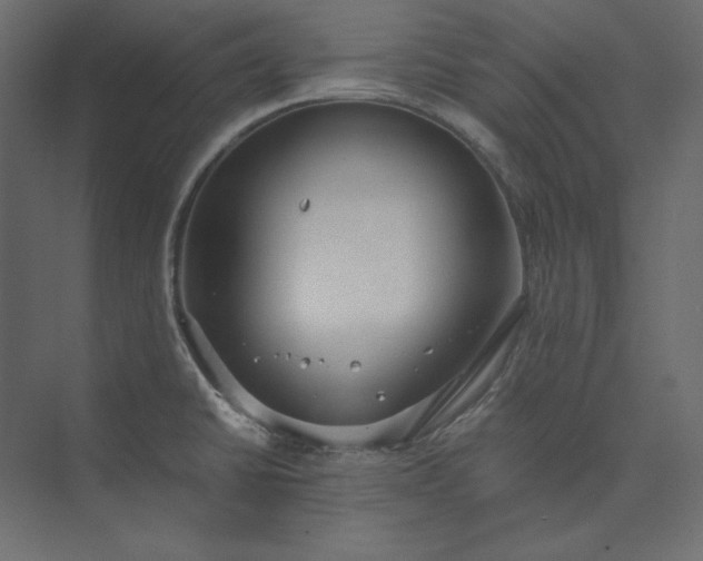 X0000073901430200608251446