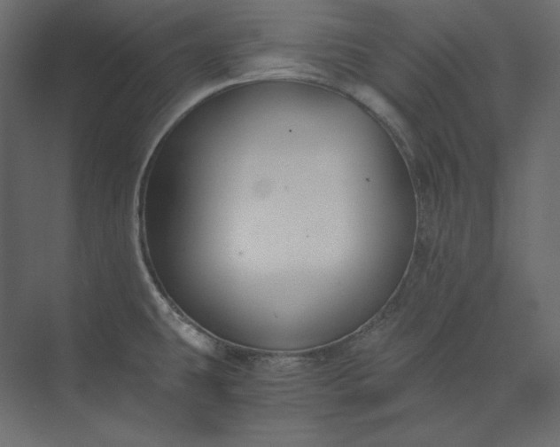 X0000073901431200608251446