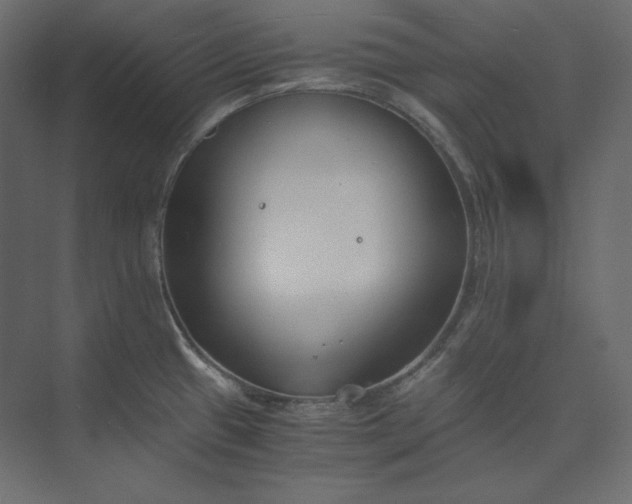 X0000073901433200608251446