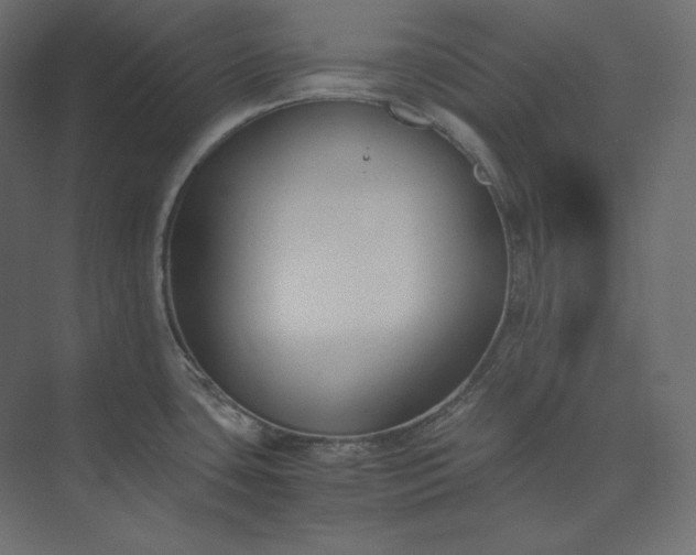 X0000073901435200608251446