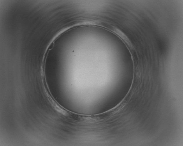 X0000073901436200608251446