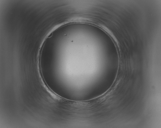 X0000073901437200608251446