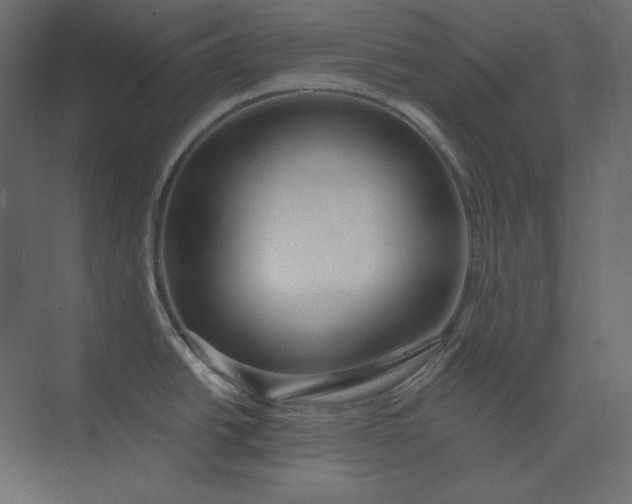 X0000073901438200608251446