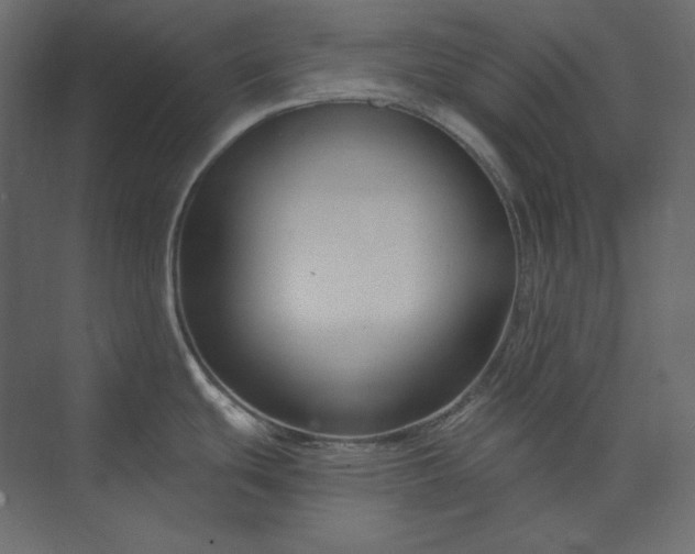 X0000073901439200608251446