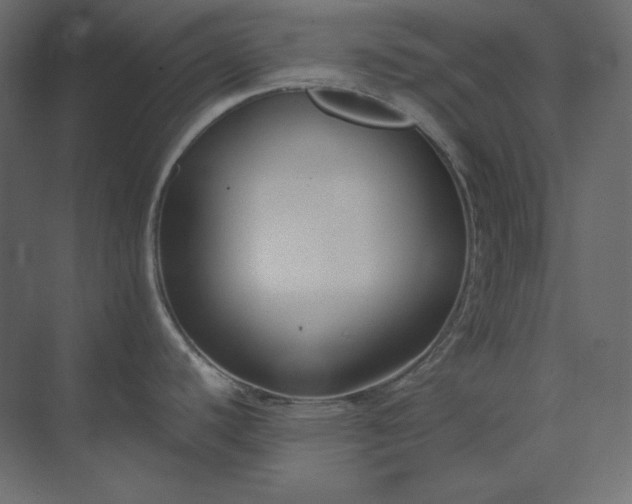 X0000073901440200608251446