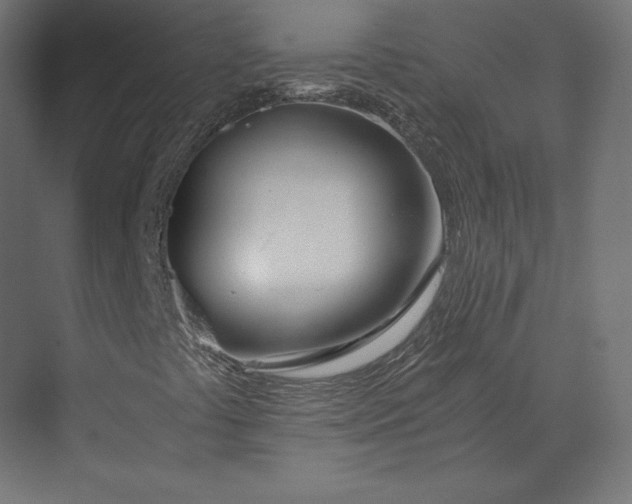 X0000073901441200608251445