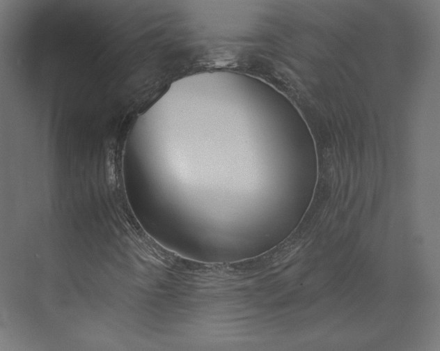 X0000073901442200608251445