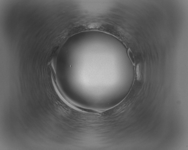 X0000073901443200608251445