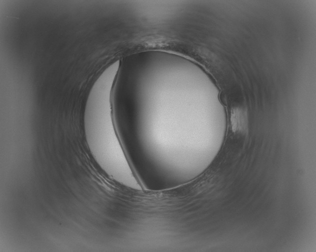 X0000073901444200608251445