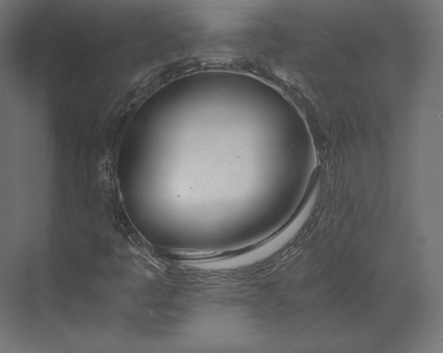 X0000073901445200608251445