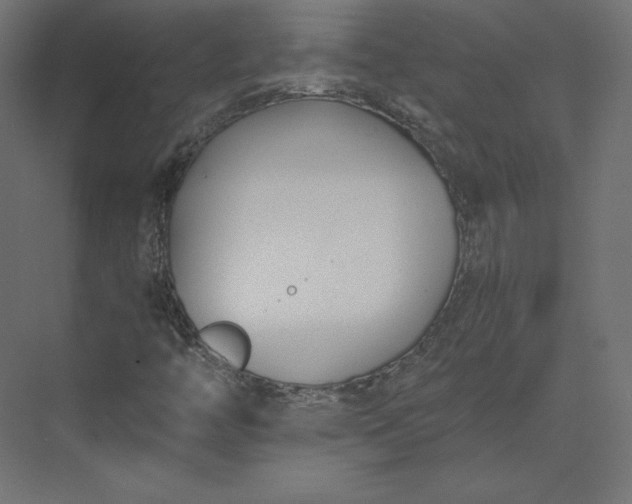 X0000073901446200608251445