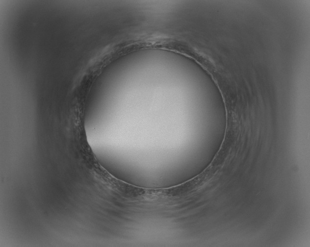 X0000073901447200608251445