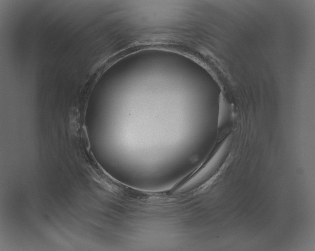 X0000073901449200608251445