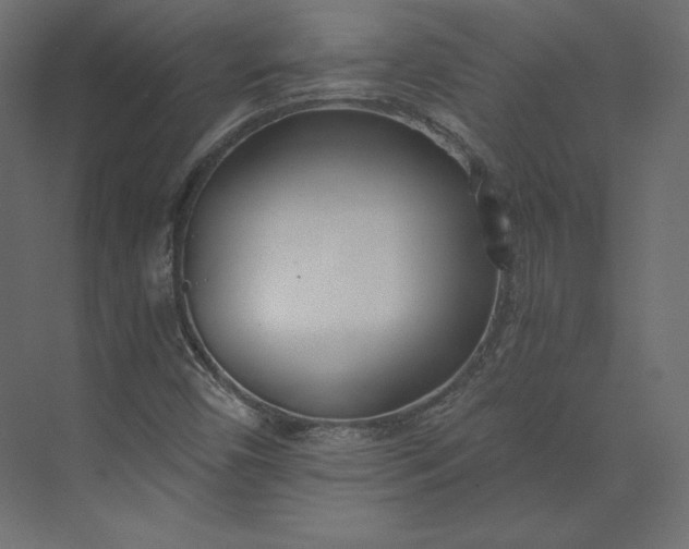 X0000073901450200608251445