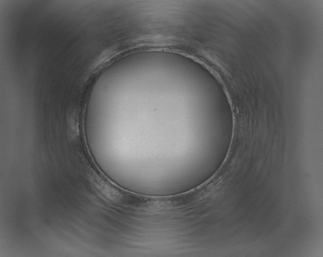 X0000073901451200608251445