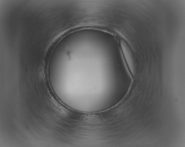 X0000073901452200608251445