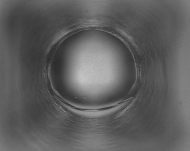 X0000073901453200608251445