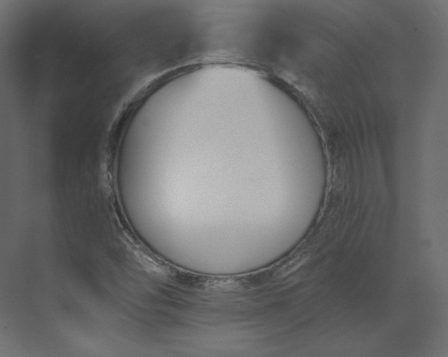 X0000073901454200608251445