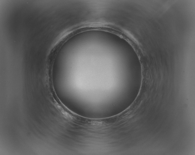 X0000073901456200608251445