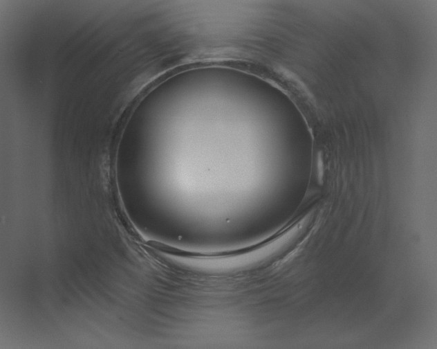 X0000073901457200608251445