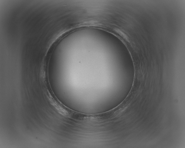 X0000073901458200608251445