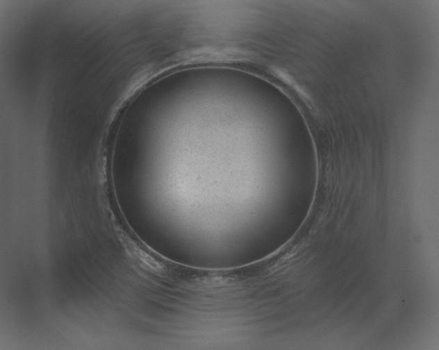 X0000073901459200608251445