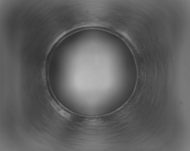 X0000073901460200608251445