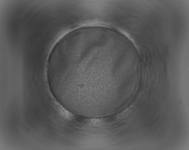 X0000073901463200608251445