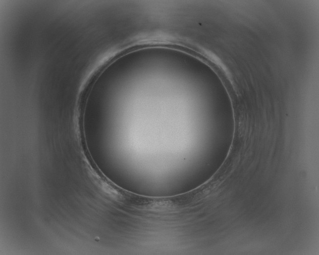 X0000073901464200608251445