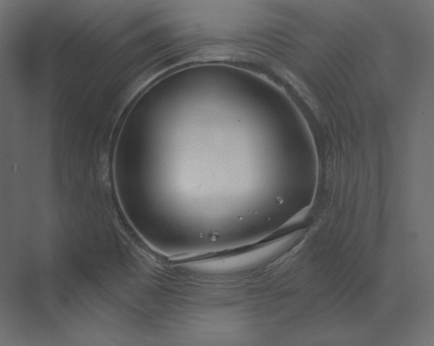 X0000073901465200608251445