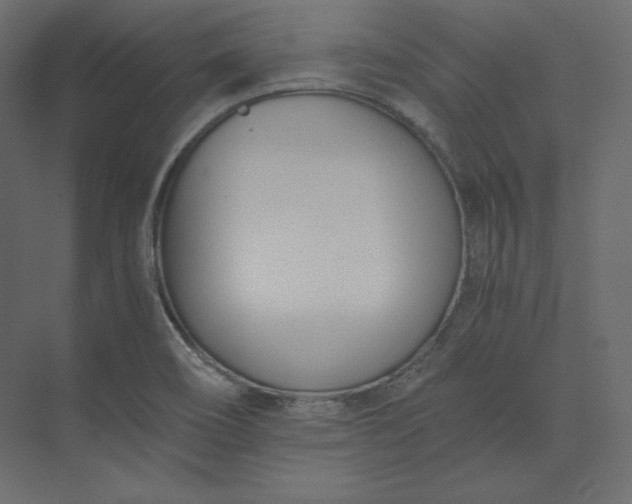 X0000073901466200608251445