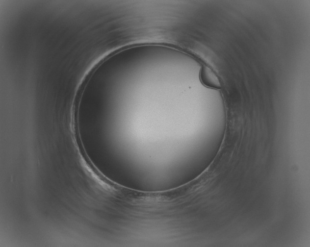 X0000073901468200608251444