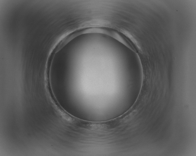 X0000073901469200608251444